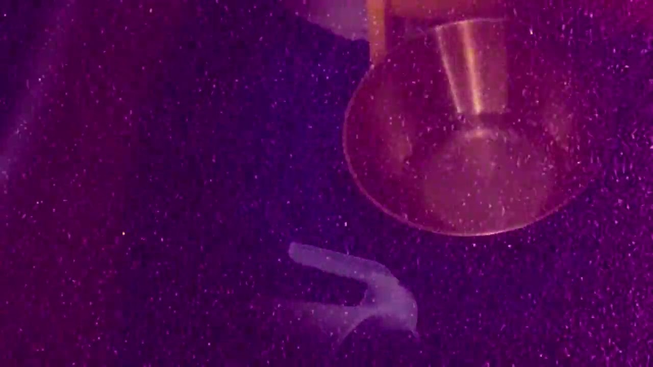 Teaser
