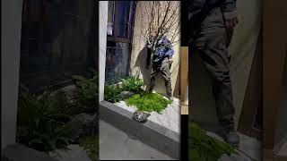 preserved moss panels China Wholesale,preserved moss wall panels China Manufacturer.