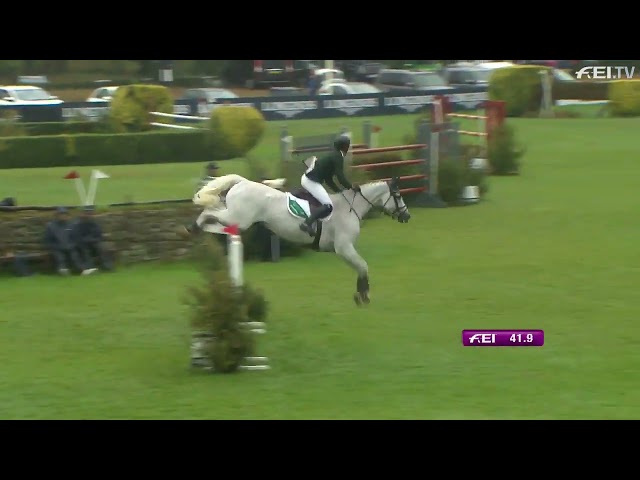 Half-brother of the mother of this Frozen Embryo is the CSI 1.60m jumping horse Freestyle de Muze with rider Richie Moloney.