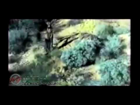 Uber Gile Music Video