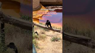 MI MAYOR MIEDO ES IR AL ZOO CONTIGO...😂🙄