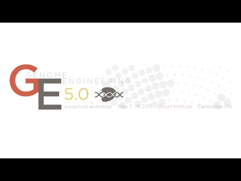 Probing the Noncoding Genome, Part 1 - Jennifer Mitchell