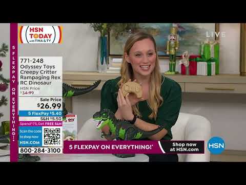 HSN | HSN Today with Tina & Ty 11.21.2022 - 07 AM