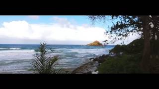 Yall - Hundred Miles (Gavin Moss Remix) ft. Gabriela Richardson