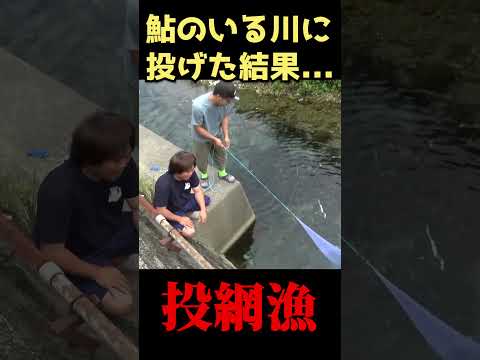 大量の鮎がいる川に網を投げた結果...！！ #shorts
