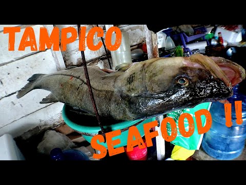 TAMPICO FOOD TOUR!! Best seafood restaurants in the area