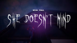 Download lagu sean paul - she doesn't mind [ sped up ] lyrics mp3