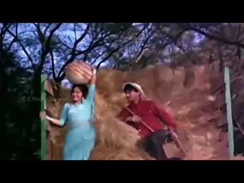 Kaanton Se Kheench Ke Yeh Aanchal - Lata Mangeshkar - Dev Anand, Waheeda Rehman - Guide 1965