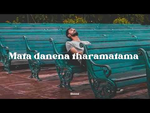Mata danena tharamatama | මට දැනෙන තරමටම ( Slowed+Reverb )