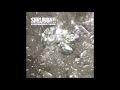Shrubbn!! - Echos Remixed by the Orb