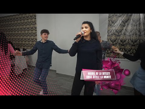 ⭐️ Maria de la Ditesti - 🐑 Urca oitele la munte 🎀 COLAJ 🎀 petrecere 2025 #MajoratComarnic