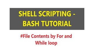 Shell Scripting - Reading File via While Loop | For Loop, While Loop in Shell Script | Bash Script