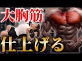 【最高の乳】インクラインダンベルフライ!大胸筋の最高峰へ!