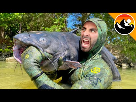 BITTEN by a GIANT CATFISH!