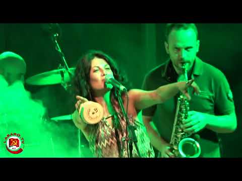 Wogiagia Crew | Live at MUSO Festival