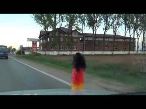 Livada Wiesenhaid E58 Rumänien Romania 16.4.2016