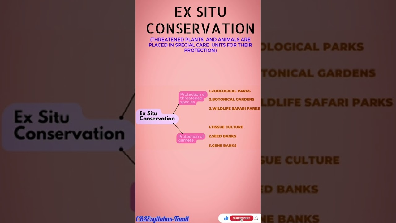 Ex situ Conservation #12th biology #NEET #CBSEsyllabus-Tamil
