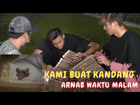 TEAH PERGI MANA ? - KAMI BUAT KANDANG ARNAB WAKTU MALAM !!
