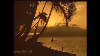 The Story of a Cocoanut (1912)