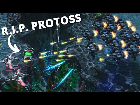 I DESTROYED This Protoss With a 200 IQ Trap - Sky Terran Finale