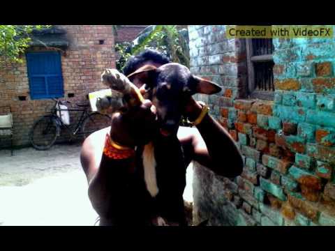 Teri meherbaniya  new