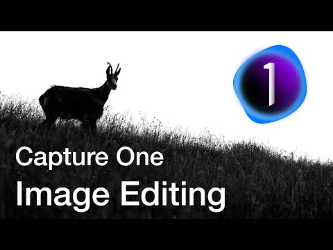 Photographing Chamois part 2 - Digital workflow and image editing (FastRawViewer and Capture One)