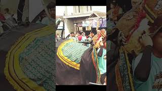 Download lagu karnaval Bantengan Singosari#bolang mania Chanel#karnaval#sound horek#hiburan#sound viral mp3