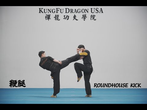 Kung Fu Dragon USA Online Tutorial: ROUNDHOUSE KICK /BIAN TUI  /鞭腿