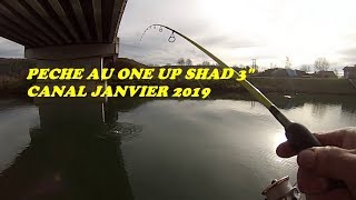 PECHE AUX LEURRES EN CANAL / ONE UP SHAD 3"  JANVIER 2019