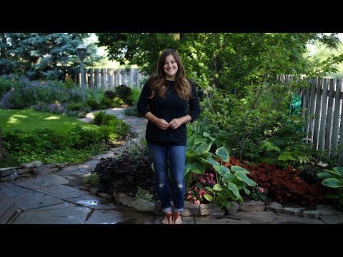 Tour of my Parent's Garden June 2018 🌿🌼🌺// Garden Answer Video