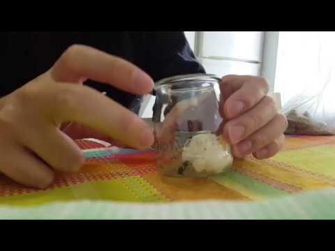 Glass jar for Queen ant, part 1