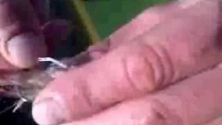 濱生丸のイメージ