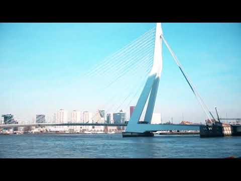 On The Move Rotterdam