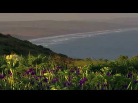 Beautiful Hawaiian Music! Beautiful Hawaiian Scenery!