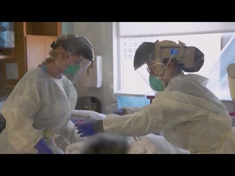 802 new COVID-19 cases in Monroe County sets new record, 9.5% average positivity rate