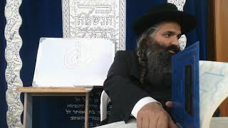 עץ חיים ענף ב' האגוז והתמרה2