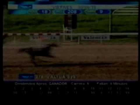 Resumen viernes 30 de Abril 2010 - Valencia