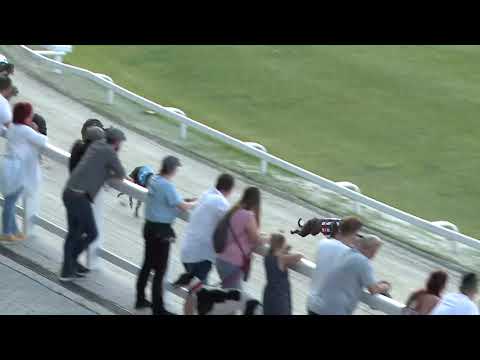 2020.06.12. 01. futam - June Trophy S1 1. futam