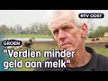 Boer Gerrit past z'n werkwijze op zeldzame kievitsbloem aan | RTV Oost