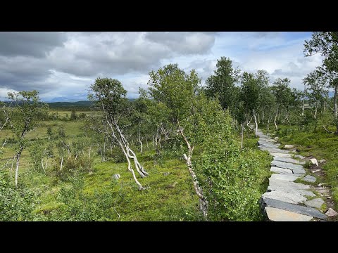 Falkenuten og Falkeriset