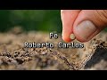 Fe/ Roberto Carlos, en español con letra.
