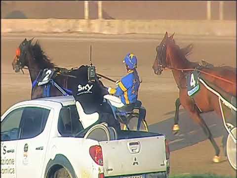 Trotto 22/11/2019 - 4ª corsa