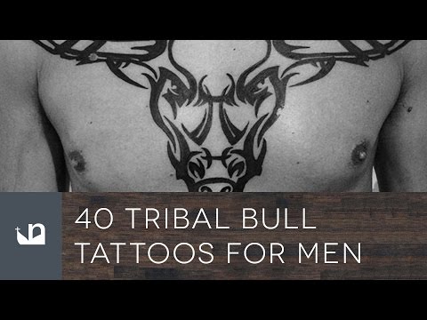 40 Tribal Bull Tattoos For Men | Video & Photo 40 Tribal Bull Tattoos For Men | Video & Photo