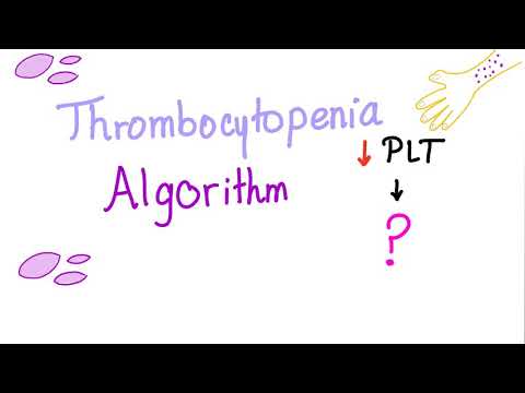 Thrombocytopenia (Low Platelet Count) - Evaluation Algorithm