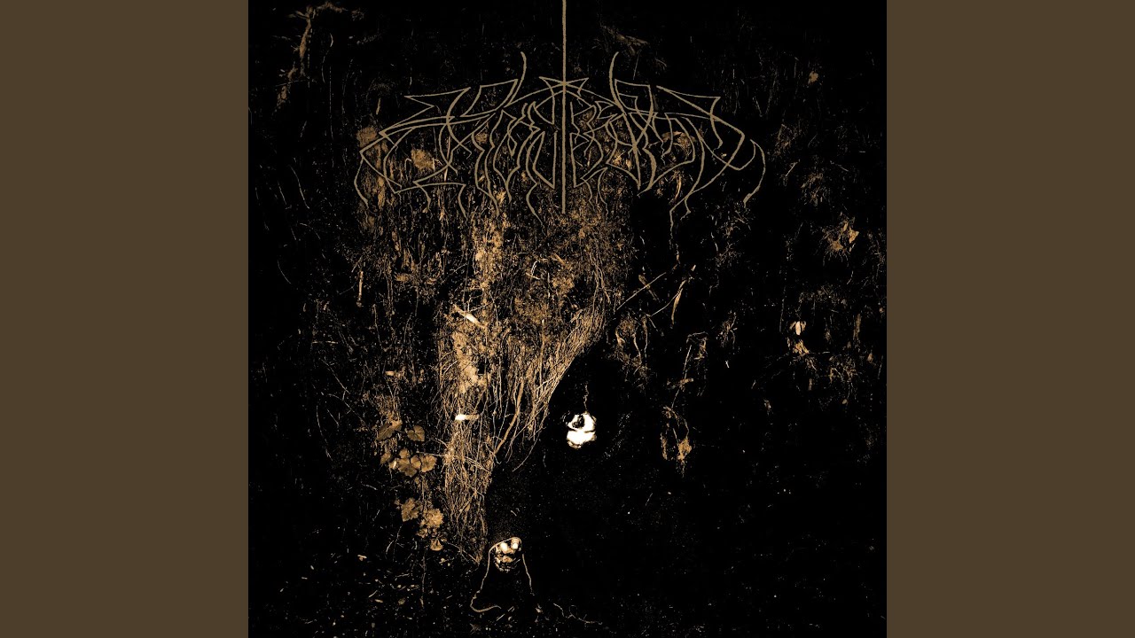 I Will Lay Down My Bones Among The Rocks And Roots - YouTube