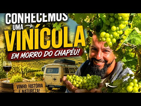 🍷 Encontramos a Vinícola Mais Surpreendente da Chapada Diamantina + Cachoeira Ferro Doido! 😱