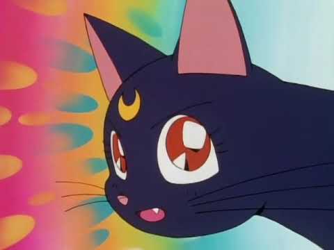 1 funny moment from every episode of Sailor Moon (Season 1)