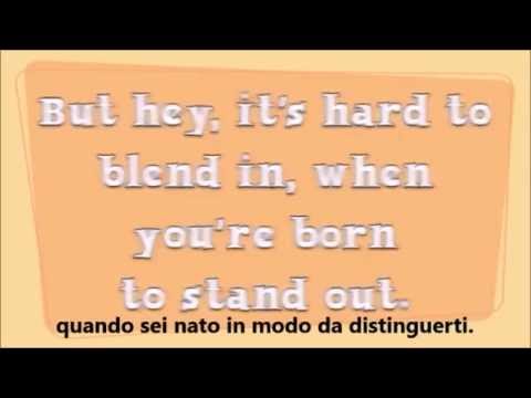 Wonder book trailer *Book Hunter*