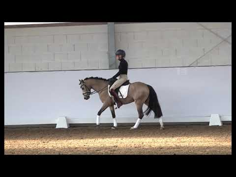 HUMBOLDT 5j. Falbwallach v. Halifax - Monte Christo