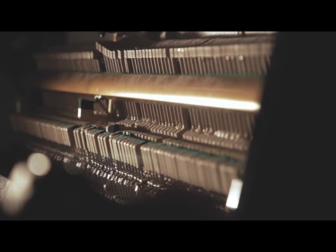 Ed Carlsen - Words (official video)